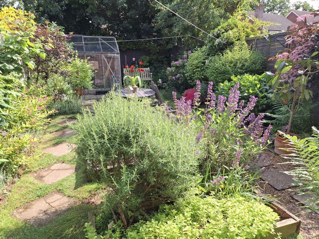   Hatfield, Garden Village, 35yrs+,  f/t  employed Main Photo