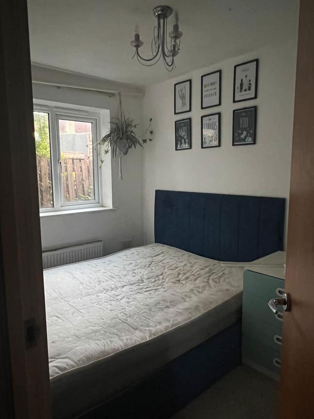 Shared Room Available  Main Photo
