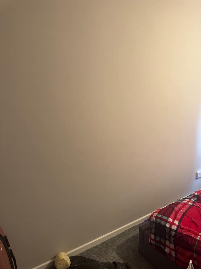 Room for rent  Main Photo