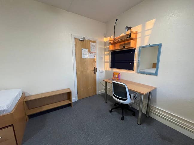 Very large single room for rent over summer Main Photo