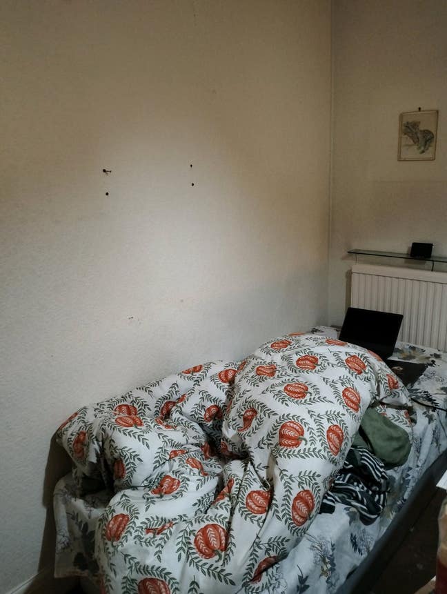 1 Big room space & 1 Box Room Available   Main Photo