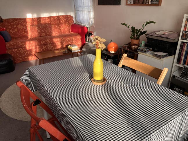 ✨Bright double bedroom in Hampstead flat✨ Main Photo