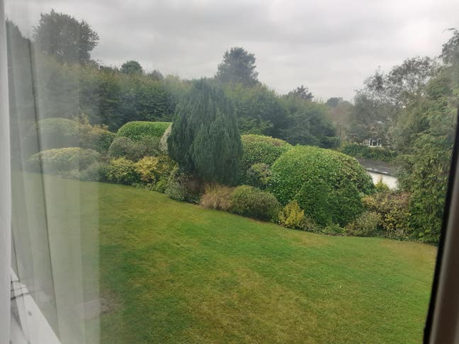 Room to let  Main Photo