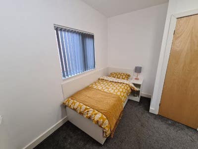 Single Ensuite Available 26/07/2025 Main Photo