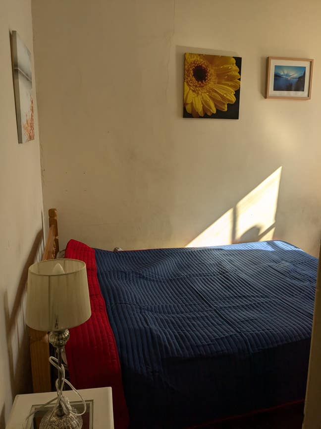 Professional female looking for a housemate Main Photo