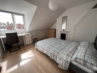 Spacious rooms to Let in Spacious Shared House  Main Photo