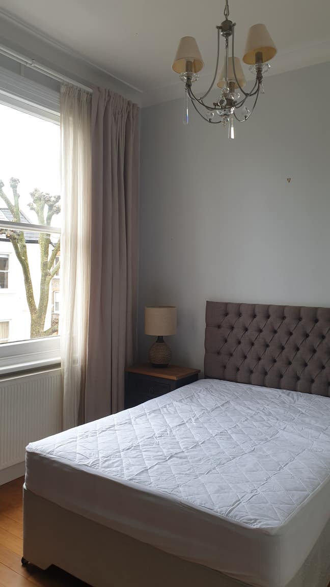 Beautiful Double Room in a Spacious Edwardian Flat Main Photo