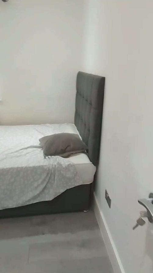 A single room to rent Main Photo