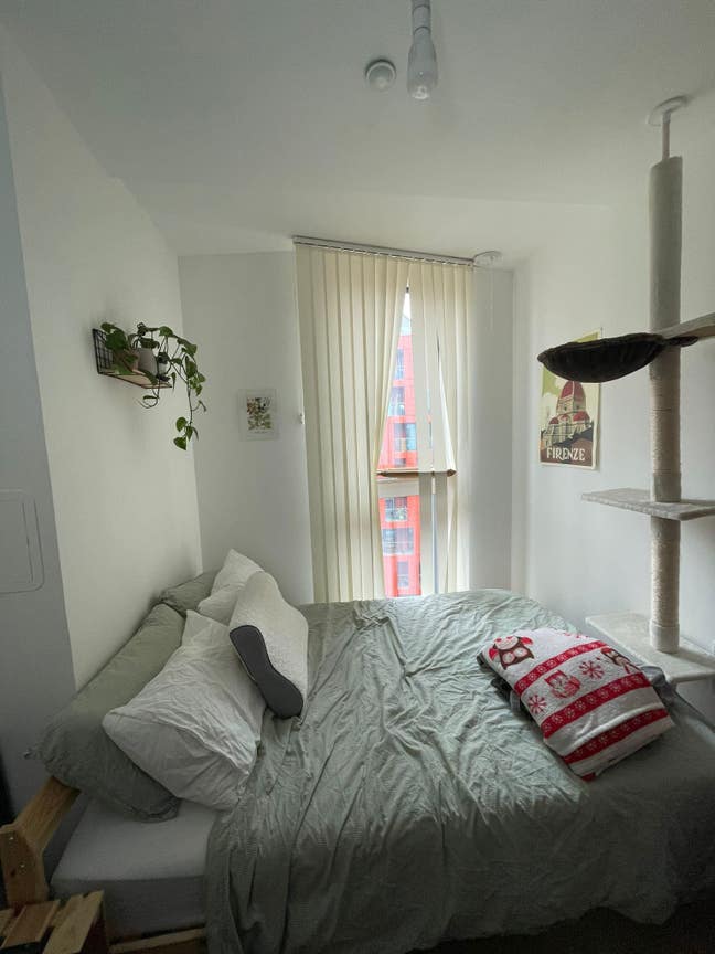 Lovely double room in a 3 bed flat  Main Photo