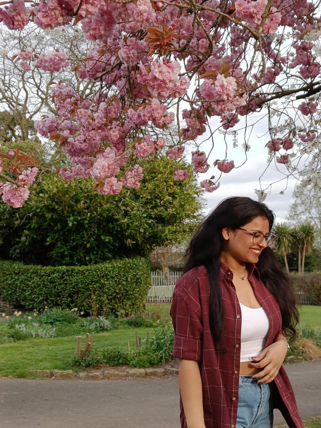 Professional Seeking Furnished Room in Canterbury Main Photo