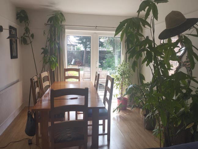 Room available in leafy neighbourhood.  Main Photo