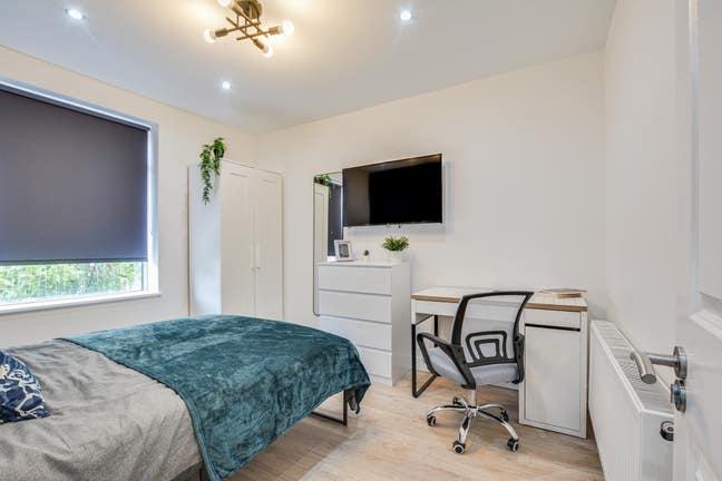 Beautiful Student Rooms Near University!  Main Photo