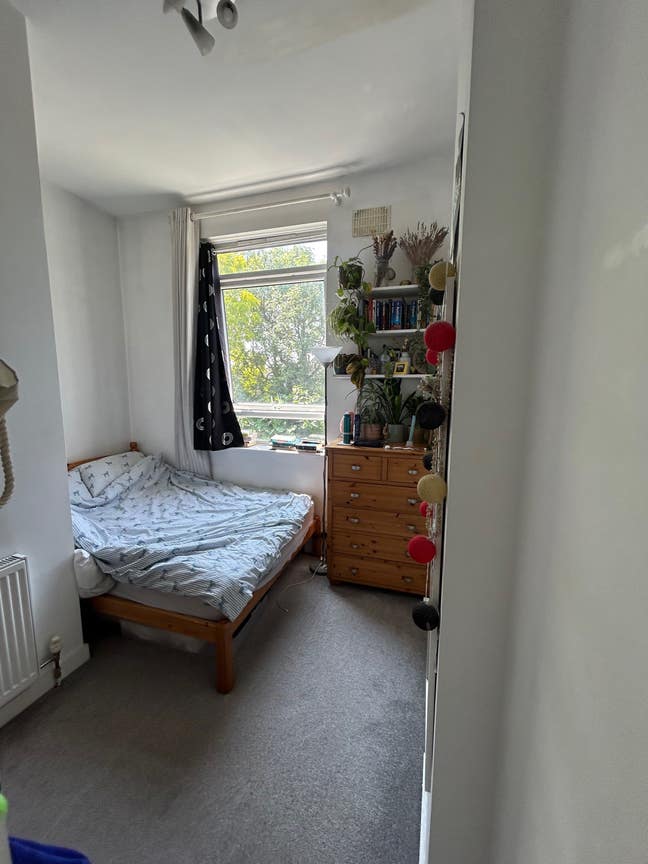 1 bed double room in Clapham Junction  Main Photo