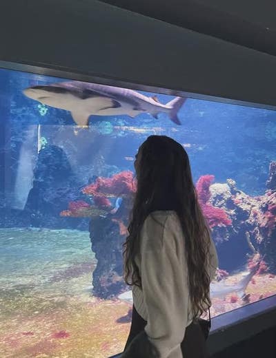 Quiet room wanted for July move in Main Photo