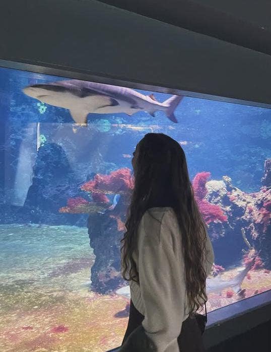 Quiet room wanted for July move in Main Photo