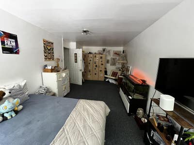 Large room to rent in Canonbury in 4 Bedroom Flat Main Photo