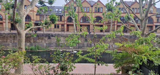 Large En-suite & double size room all bill inc  Main Photo