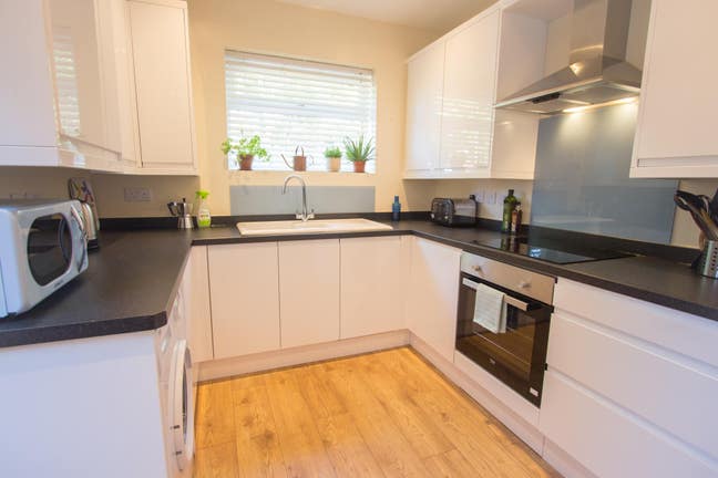 Friendly house share, great location Main Photo