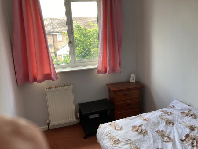 Single room to rent in Blackbrook Main Photo