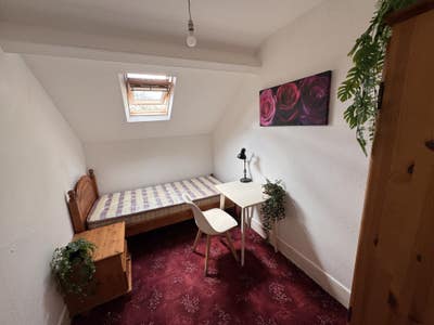 Large House Share - nr. City Centre * BILLS INC * Main Photo