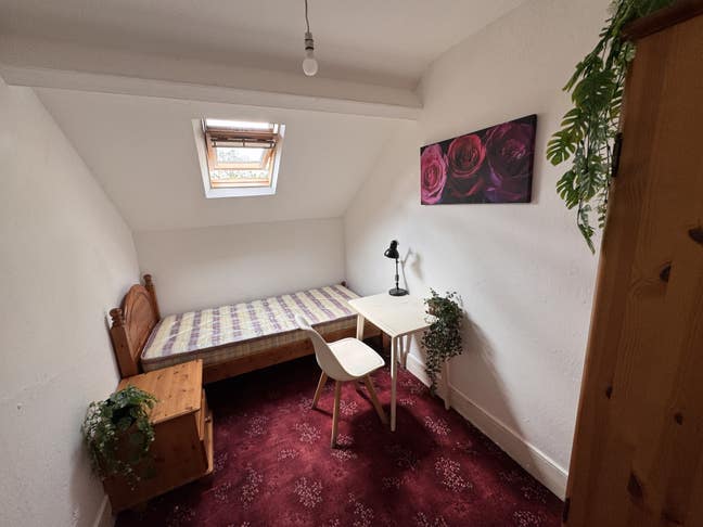 Large House Share - nr. City Centre * BILLS INC * Main Photo