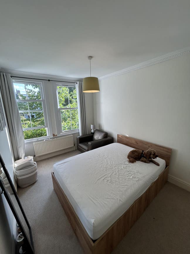 Room Available in Charming  Putney Riverside Flat Main Photo