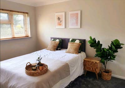 LARGE Double Recently Refurbished NO FEES! Main Photo