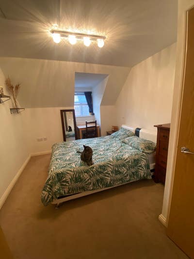 Ensuite Double Room in Peaceful Longstanton Home   Main Photo