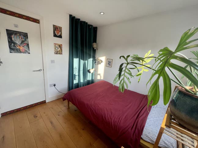 3 week East London sublet in communal house Main Photo