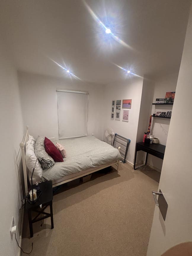 Room rental - 10mins to harbour Main Photo