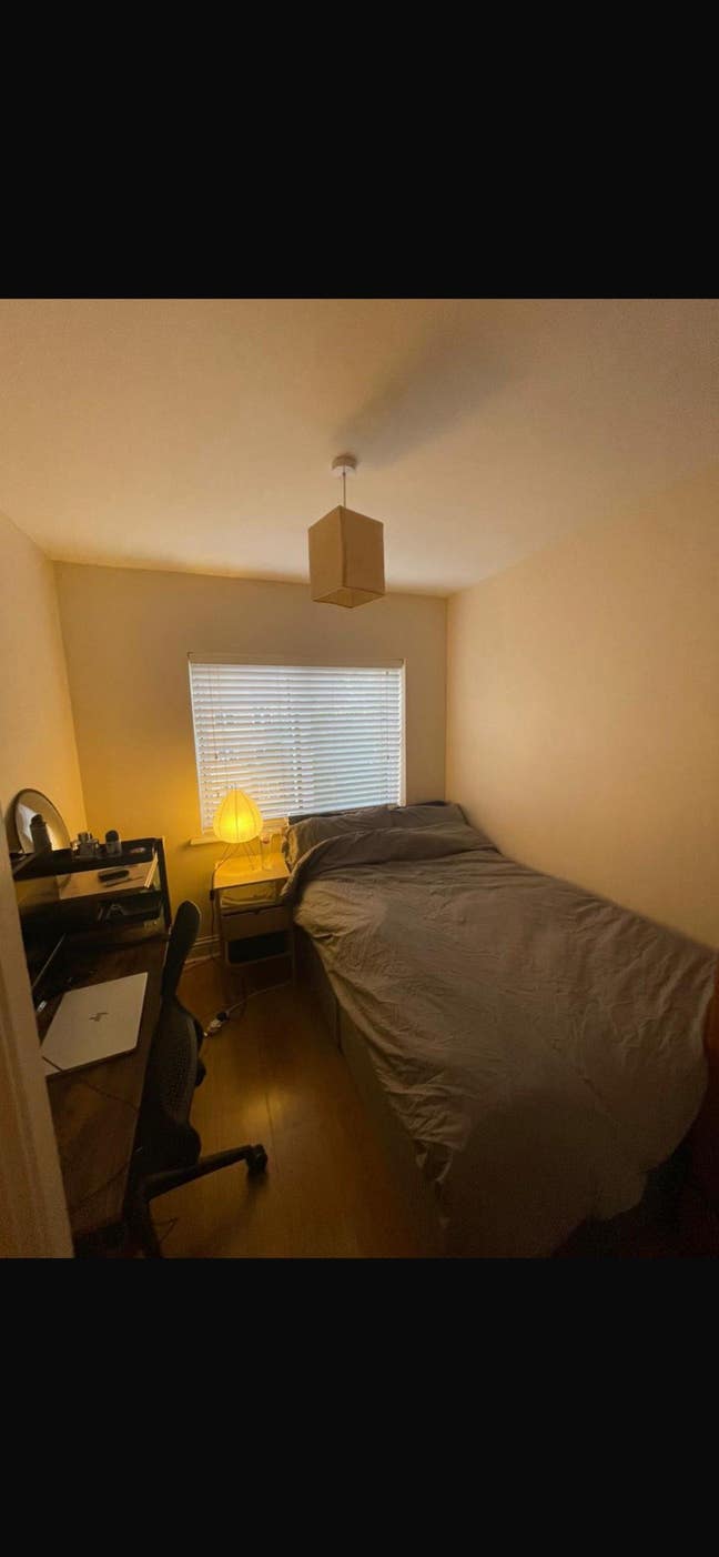 Double room near Finsbury Park with three mates Main Photo