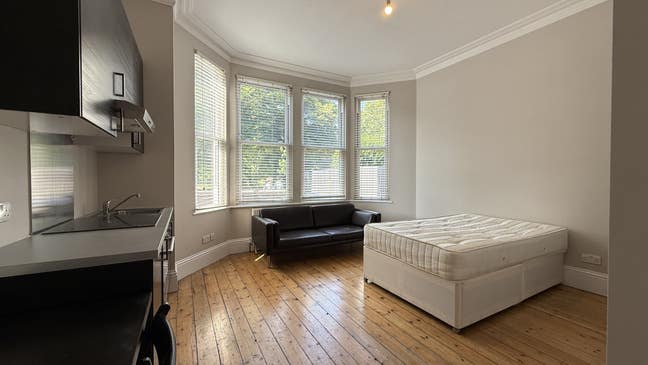 Spacious Studio overlooking Ealing Common  Main Photo