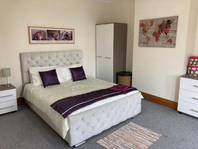Professional Room in a Shared House.  Main Photo