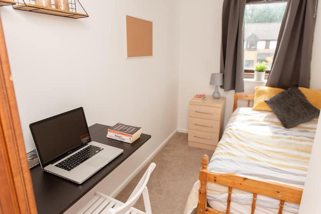 Amazing shared house for professionals Main Photo