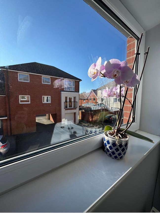 DoubleRoom Available in Friendly Southampton Home  Main Photo