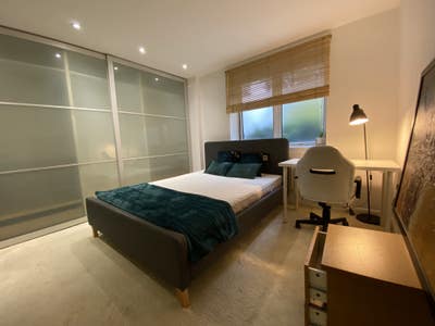 Super Sapcious Ensuite Room City/Canary Wharf E14 Main Photo