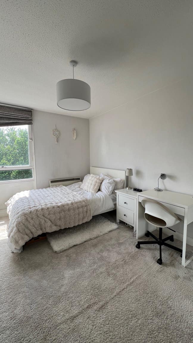 Spacious Double Room in shared 2 bed flat Main Photo