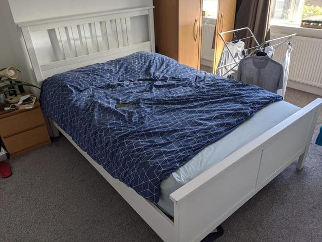 Friendly social flat looking for 1 person Main Photo