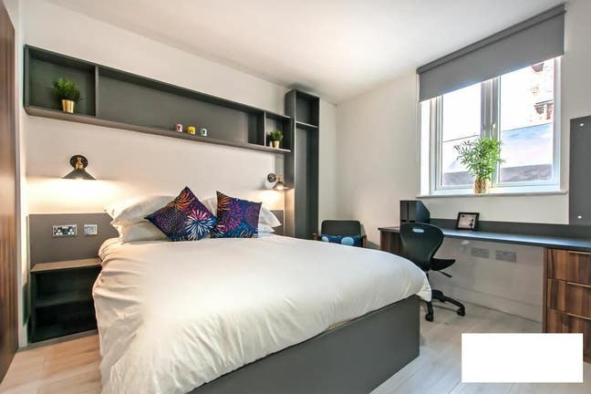 New Luxury Apartment moments from Northen Line Main Photo