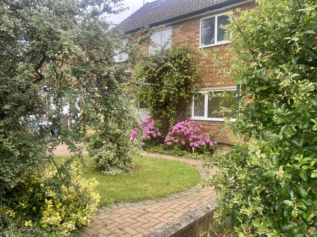 Room from mid January 2026 - for MALE   Main Photo