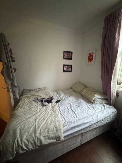 Double room available in Hampstead  Main Photo