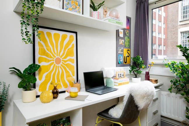 Amazing Room in Old Street Main Photo
