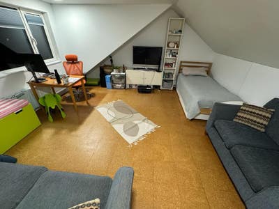 Large loft room w.shower & large garden Main Photo