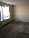 Guardianship: Room in Ladbroke Grove   Main Photo