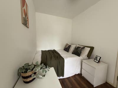 Two Rooms Available NOW!  Main Photo