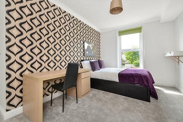 Beautiful co-living house in Ophir Road, North End Main Photo