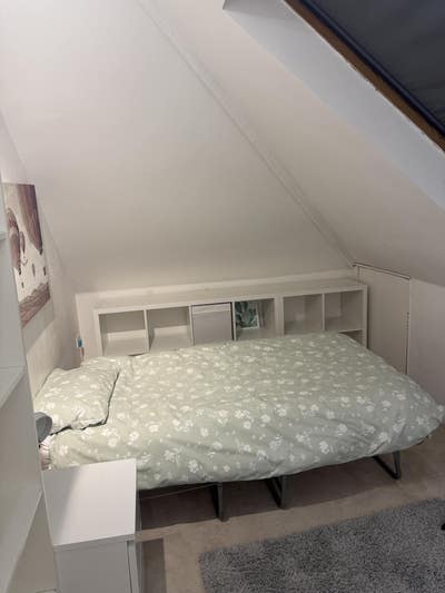 Single Room ideal for Students/Post Grad Main Photo
