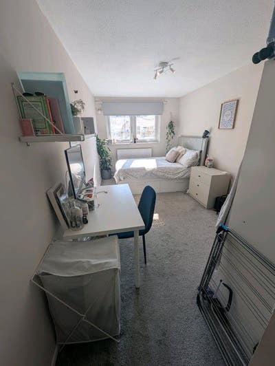 Large Double Room in Super Clean Garden Flat! SE15 Main Photo