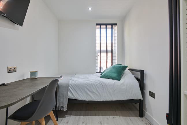 Stylish & Modern Home – Available for Immediate Mo Main Photo