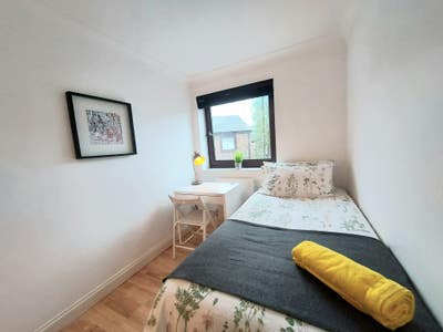 Cosy Single in Spacious House! - Canada Water Main Photo